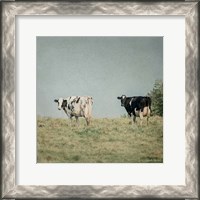 Framed Neutral Country III