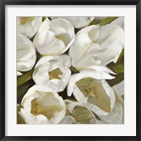 Bianco II Framed Print