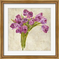 Framed Bouquet de Tulipes