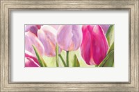 Framed Tulipes I