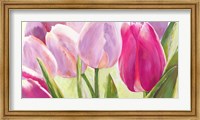 Framed Tulipes I