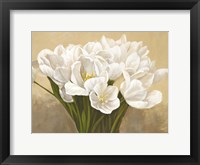 Framed Tulipes Blanches