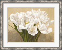 Framed Tulipes Blanches