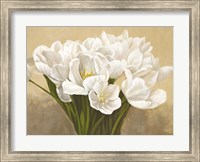 Framed Tulipes Blanches