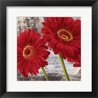 Framed Red Gerberas I