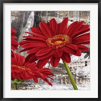 Framed Red Gerberas II