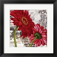 Framed Red Gerberas III