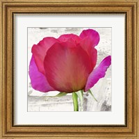 Framed Spring Roses II
