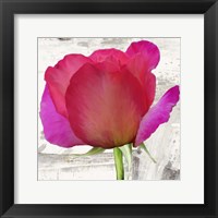 Framed Spring Roses II