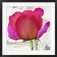 Spring Roses II Framed Print