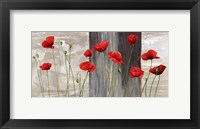 Framed Country Poppies