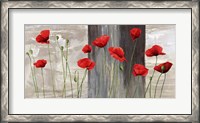 Framed Country Poppies