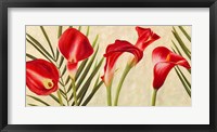 Framed Red Callas