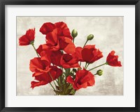Framed Bouquet of Poppies