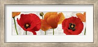 Framed Summer Poppies