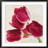 Framed Tulip Concerto (Detail)