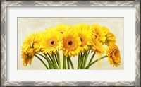 Framed Gerbera Abstraction