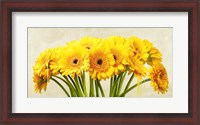 Framed Gerbera Abstraction