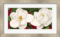 Framed Magnolie in Fiore