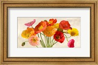 Framed Poppies in Spring