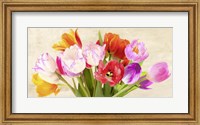 Framed Tulips in Spring