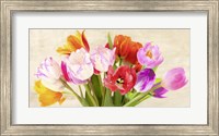 Framed Tulips in Spring