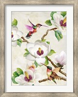 Framed Magnolia and Humming Birds