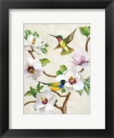 Framed Magnolia and Birds