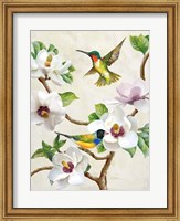 Framed Magnolia and Birds