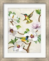 Framed Magnolia and Birds