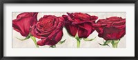 Framed Rose Romantiche
