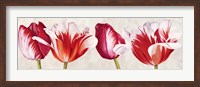 Framed Gioiosi Tulipani