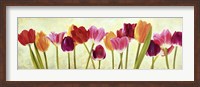 Framed Tulip Parade