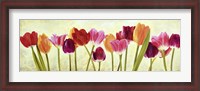 Framed Tulip Parade