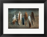 Framed Feather Collection I
