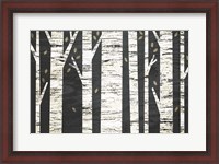 Framed Birch Forest