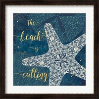 Framed Coastal Lace II