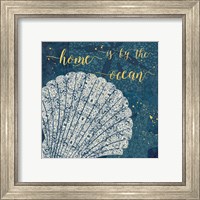 Framed 'Coastal Lace III' border=