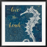 Framed Coastal Lace VII