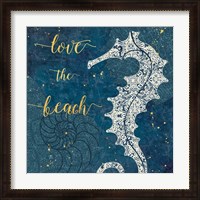 Framed Coastal Lace VII