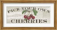 Framed Farm Fresh Cherries