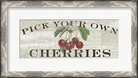 Framed Farm Fresh Cherries