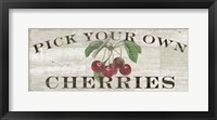 Framed Farm Fresh Cherries