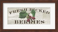 Framed Farm Fresh Berries