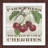 Framed Farm Fresh Cherries I