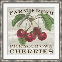 Framed Farm Fresh Cherries I