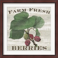 Framed Farm Fresh Berries I
