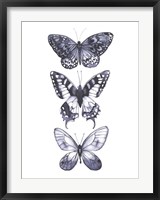 Framed Monochrome Butterflies I