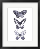 Monochrome Butterflies I Framed Print