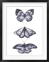 Framed Monochrome Butterflies II